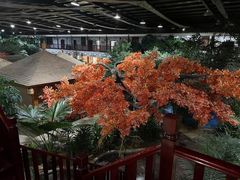 -老山东·山东菜(鲁菜名店)