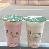 在香港！火遍湾湾的奶茶天花板就是它！