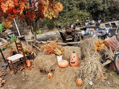 -HERRE·FARM 赫尔露营农场·团建聚会包场