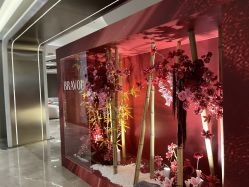 -深圳米兰柏羽医疗美容医院