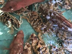 -宜宾海鲜酒家·三十年老字号