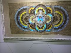 -上海昆虫博物馆