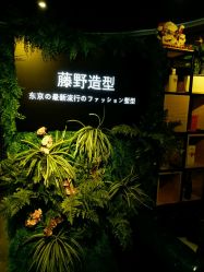 -藤野造型