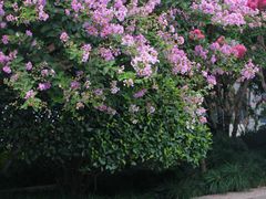 -杭州城北体育公园