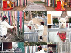 -上海佘山世茂艾美酒店