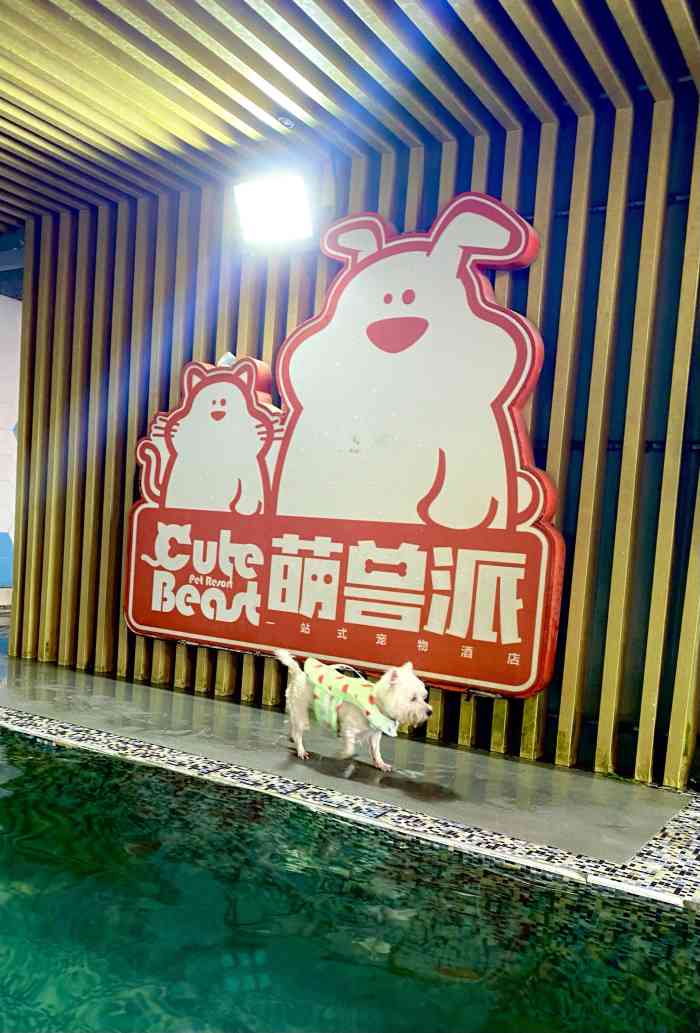 萌兽派一站式宠物酒店-"去年在萌兽派参加的万圣节活动,简直太可爱.