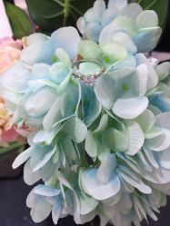 -威德钻石-克拉钻大本营(南京东路店)