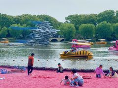 -上海鲜花港