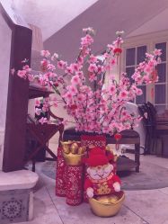 -海茱雅科技健康美容