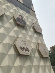 -熙朵美学植发·连锁品牌