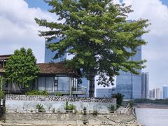 -喜洲吧·江畔老船厂·庭院餐厅(喜临院店)
