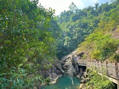 -广州白江湖森林公园