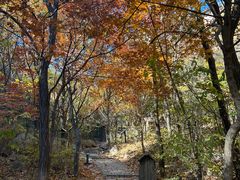 -云峰山自然风景区