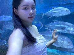 -华夏文旅西安度假区