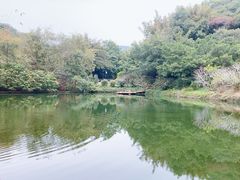 -广州市帽峰山景区