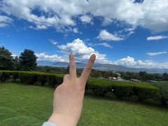 -崇圣寺三塔文化旅游区