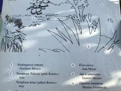 菜单-马洛雷勒花园