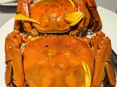 清蒸阳澄湖母闸蟹-徐记海鲜·家宴(南油永新汇店)