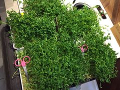 -湯島涮小火锅(余姚五彩城店)