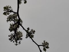 -堤角公园