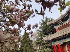 -西安市广仁寺