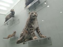 -国家自然博物馆