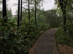 -新江湾城公园
