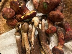 -滇野云南野生菌餐厅(陕西南路店)