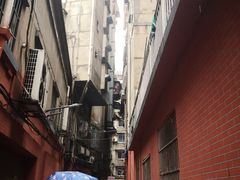 -小毛绝杀炒粉