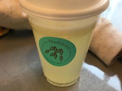 -Madeleine玛德琳(永平里店)