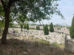 -原山国家森林公园