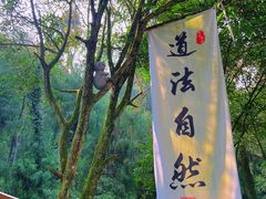-青城山