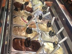 -Patagonia Chocolates(皇后镇店)