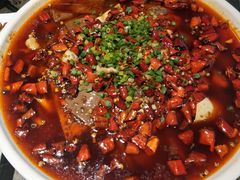-庆合府重庆大排档(紫都城店)