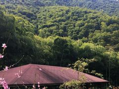 -山沟沟景区