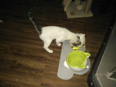 -蜉蝣酒吧(仓山万达店)