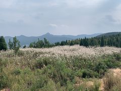 -龙洞风景区-藏龙涧