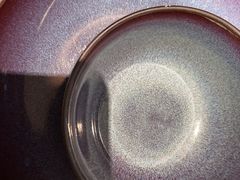 -美奈小馆·东南亚菜(福田星河COCO Park店)