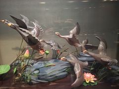 -烟台自然博物馆