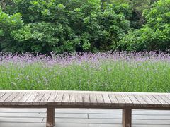 -厦门园林博览苑