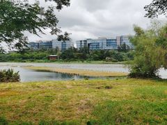 -华侨城湿地公园