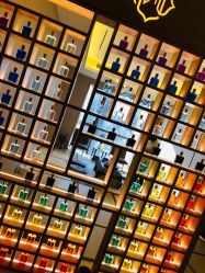 点击看大图 -彩虹之门健康管理