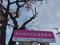 -井塘古村