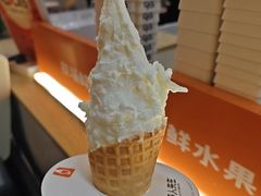 -野人先生现做冰淇淋(北京环宇荟店)
