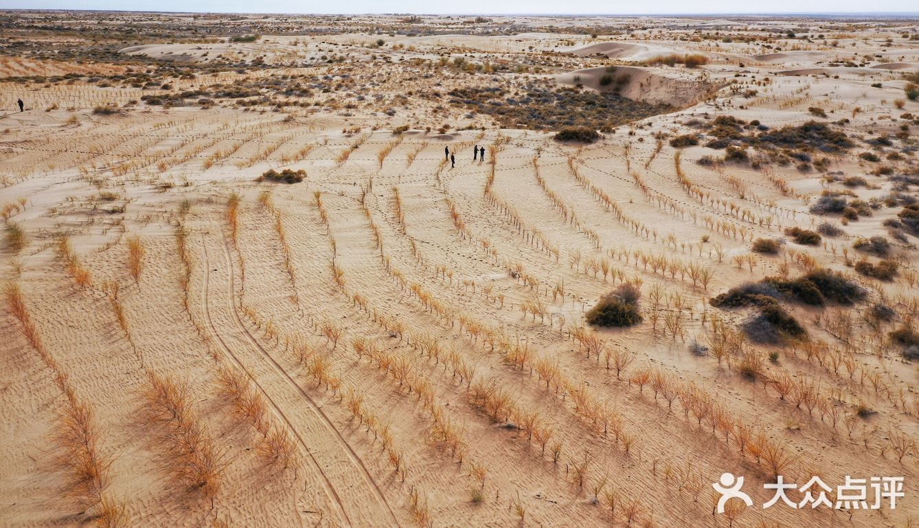 蚂蚁森林小树苗我来啦[调皮]