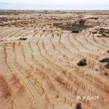 蚂蚁森林小树苗我来啦[调皮]