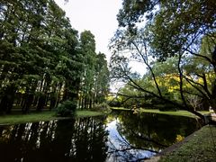 -上海共青森林公园