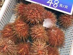 -双井轩(双井店)