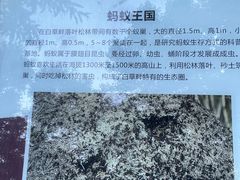 -白草畔自然风景区