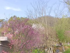 -桃花岭景区